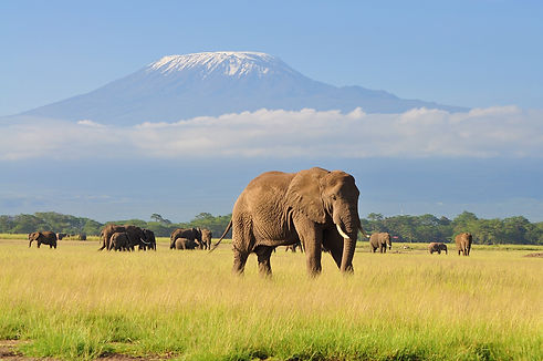 kenya.jpg
