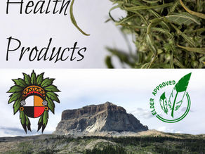 A Return to the Earth That Remembers Us