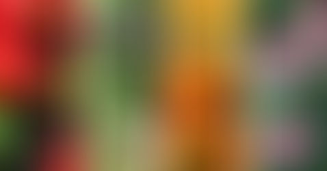 3 Surprising Benefits of Gardening & Why You Should Be Doing It