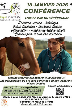 Nv affiche conférence veto 37.jpg