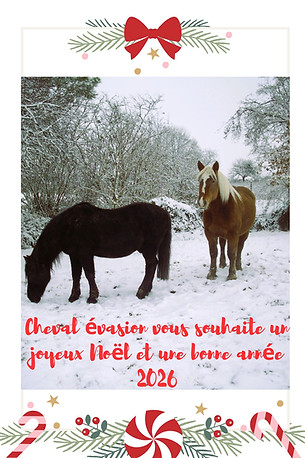 voeux Cheval Evasion.jpg