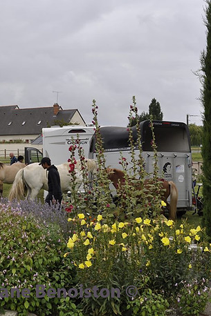 Rando Cheval Evasion- août-2021 (4).jpg