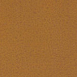 liso-amarillo-natura.jpg