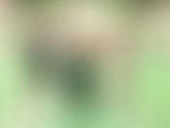2020/9/12(土)ビギナーオンリーゆるふわだらだら活動の様子