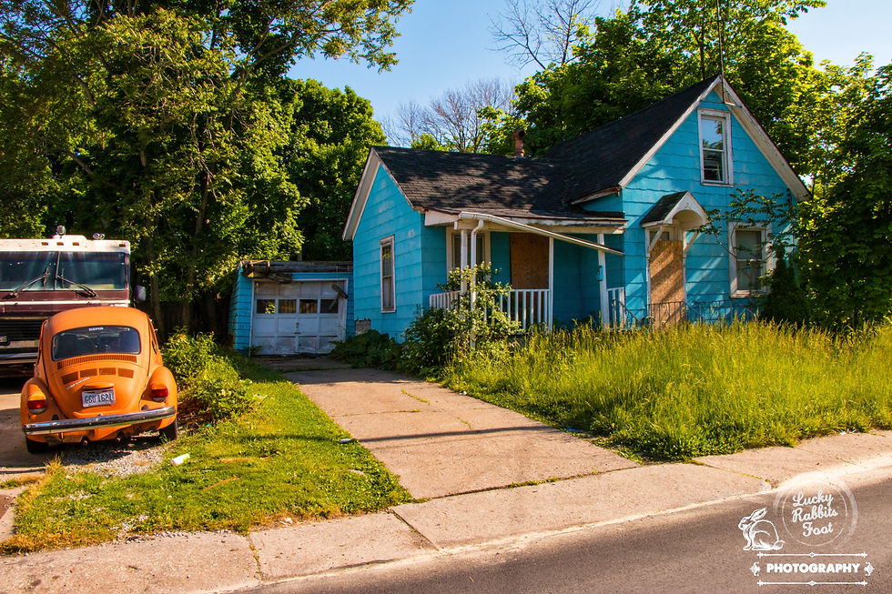 The Neighbors