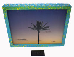 Palm Tree of Paradise - $250