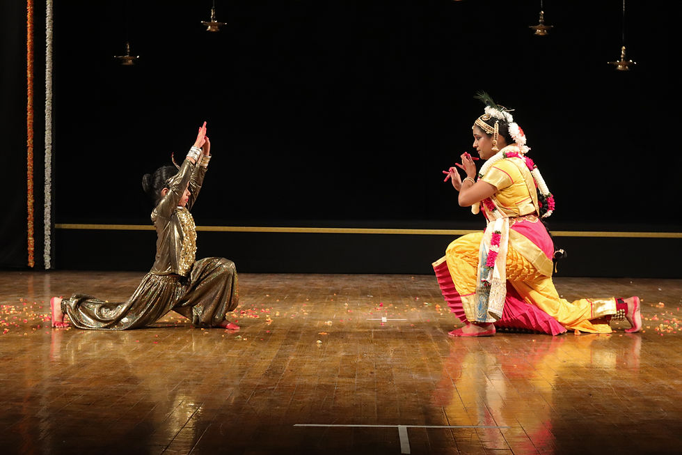 the Fight/Dance