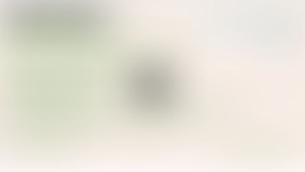 Normativités islamiques, le licite et l’illicite dans l’islam contemporain européen