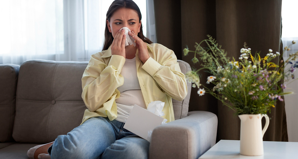 National Allergy Day: Understanding Allergy Triggers Within Your Home