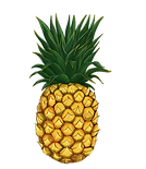 13.png