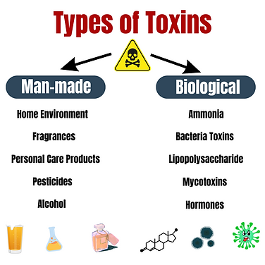 toxins types (1).png