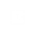 LOGO BR.png