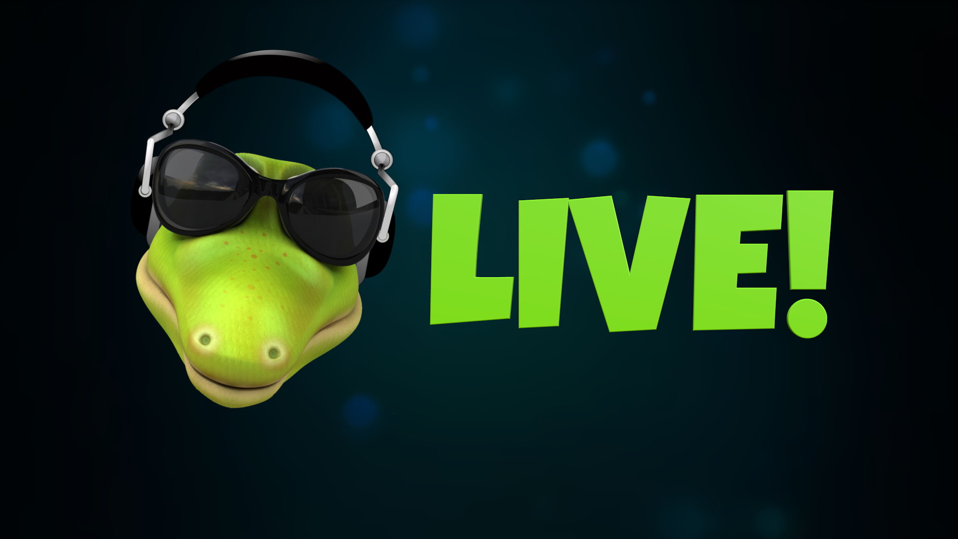 Lizard Streamer Lizard Live! | Studio Stargazer