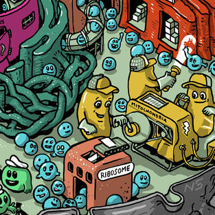Cover illustration for the November 15, 2019 issue of Science Magazine.