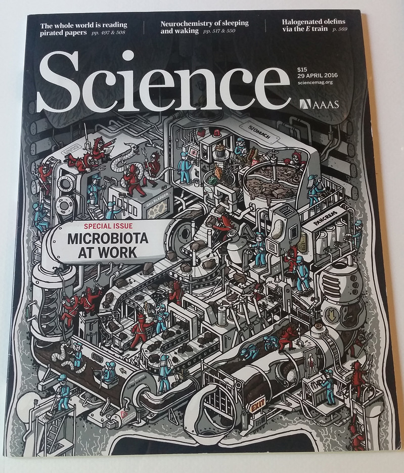 NSussman_ScienceMag_042916cover-photo-M.