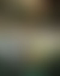 Why You Should Avoid DIYing These 5 Things at Your Arizona Wedding