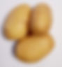 Pommes de terre sac de 10 kg