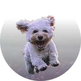 Imagem reducao de stress.webp