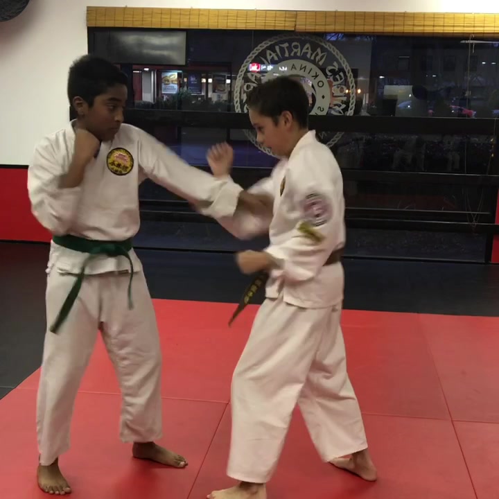 Mires Martial Arts facility image