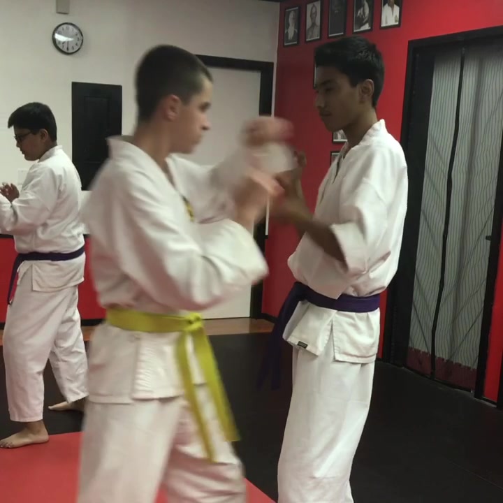 Mires Martial Arts facility image