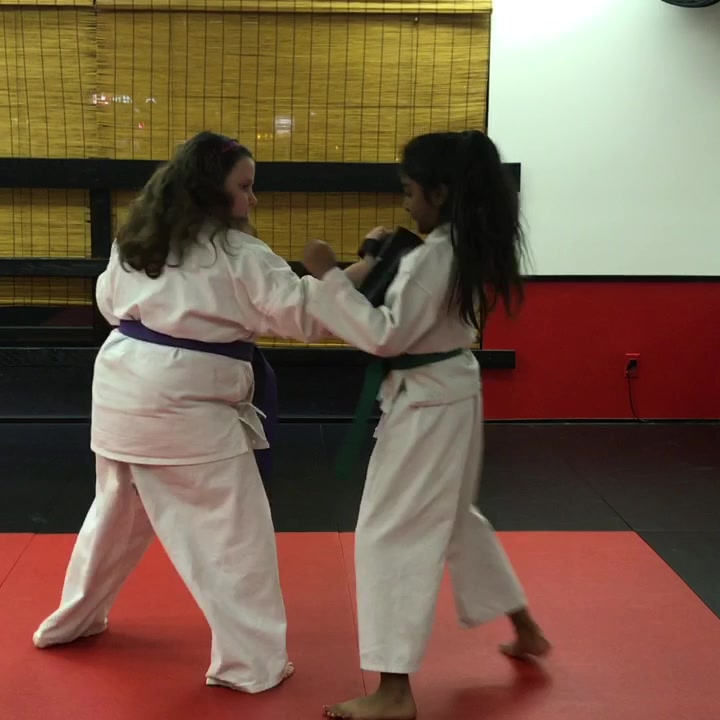 Mires Martial Arts facility image