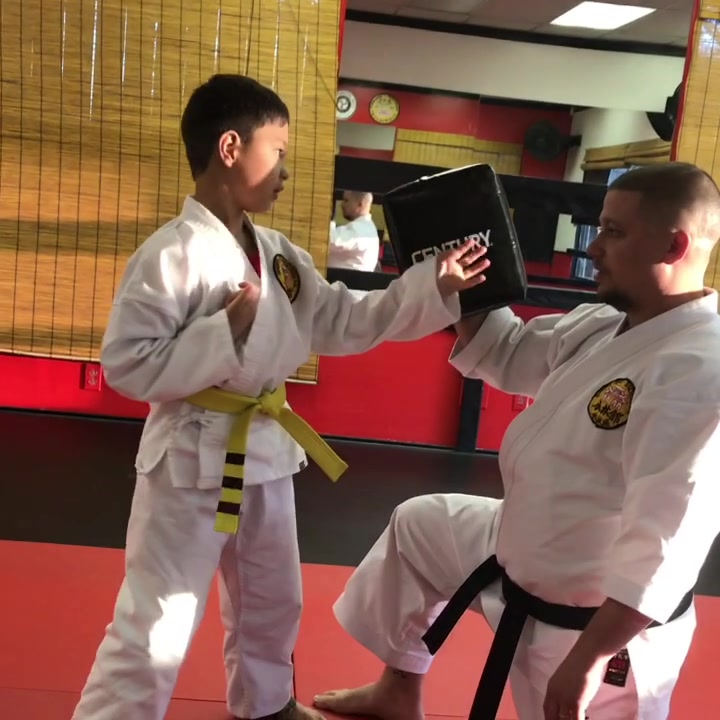 Mires Martial Arts facility image