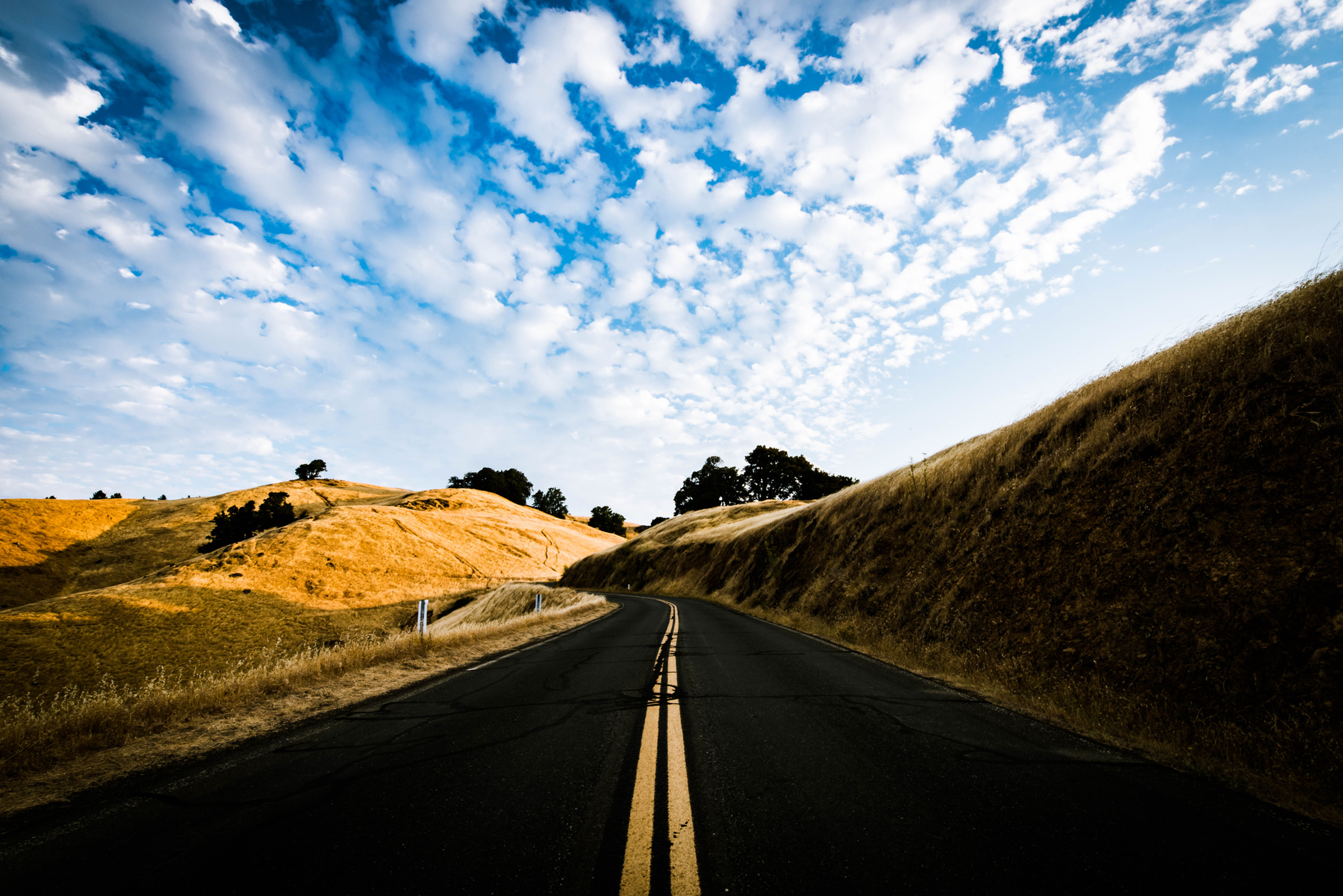 Endless Roads on Mt. Tam