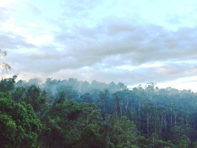 PHOTONIC EPHEMERA + INCORPORATING THE LIGHT