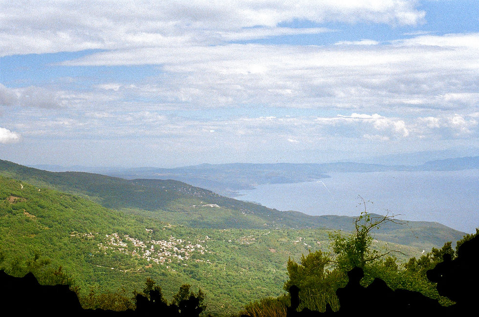 IMG_4987.jpg