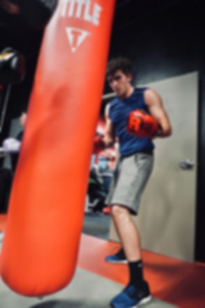 BOXER.jpeg