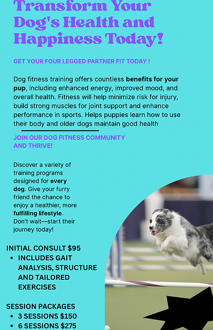 Flyer - Transform Your Dog's Health and Happiness Today!.png