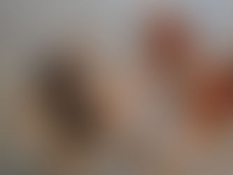 今年のサンダルWSのお知らせです
