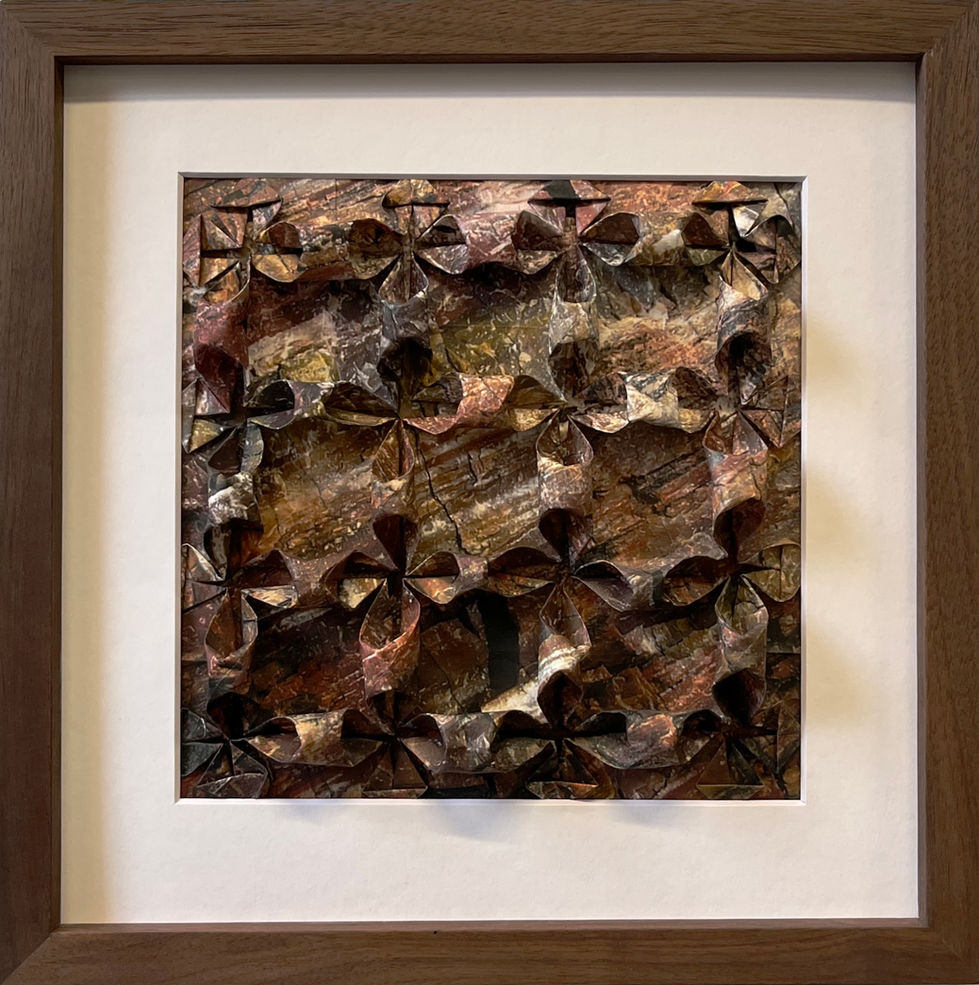Petrified Wood