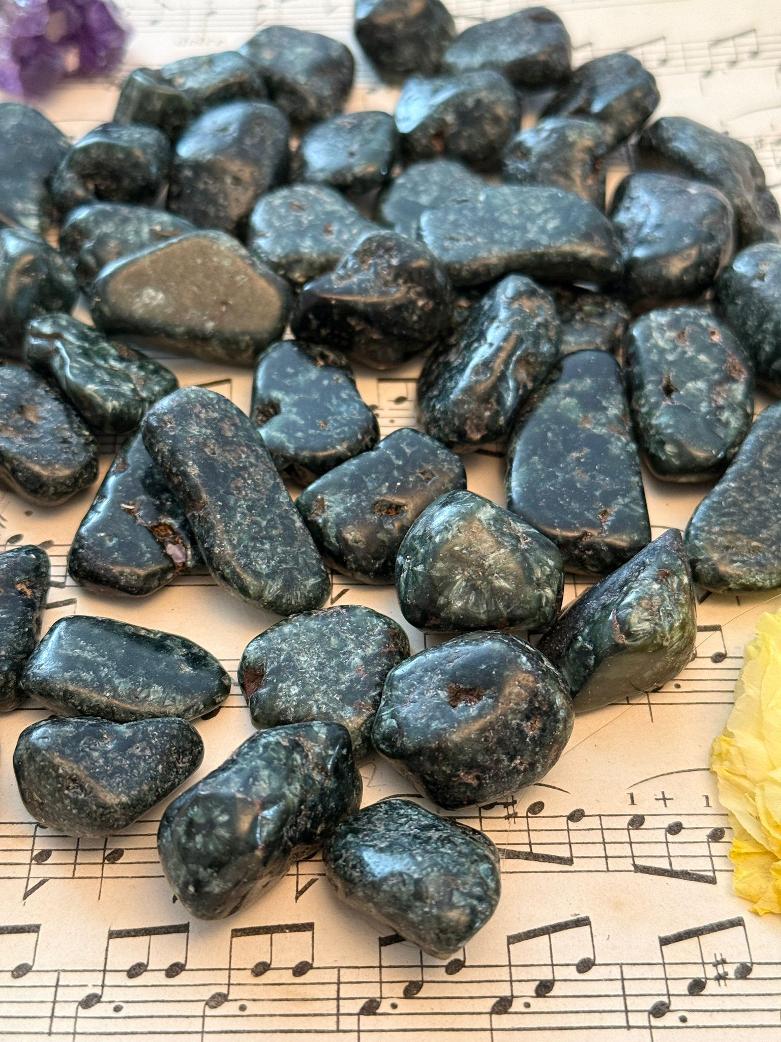 חלוקי שרפנייט