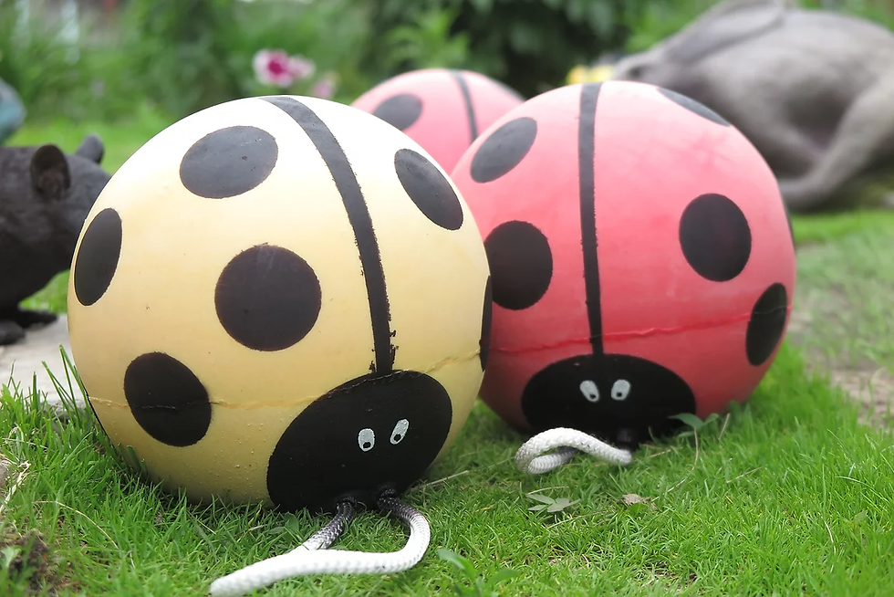 Thumbnail: BugBall