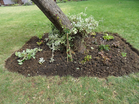 Garden Management