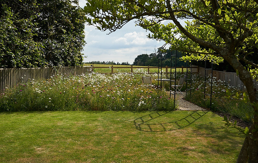 Wildflower garden with colourful blooms overlooking open countryside fields, creating a natural and peaceful setting