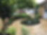 Stunning garden redesign with quality materials and extensive planting