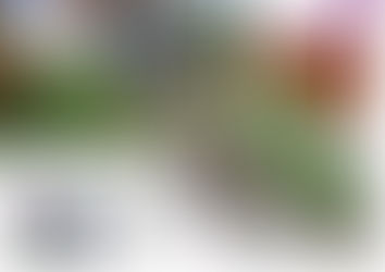 Garden designed by Susan Young at Park End Thatch, a Tudor farmhouse garden with exuberant seasonal planting, featured in Garden News Magazine.