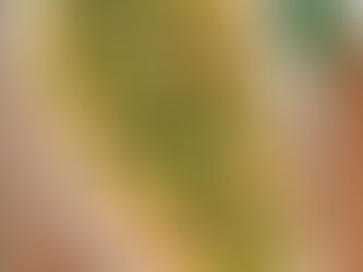 Creamy Protein-Packed Stuffed Mushrooms