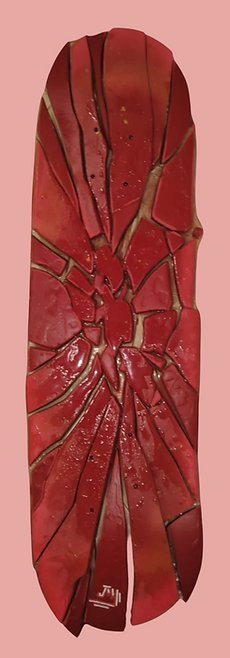 Fracture
