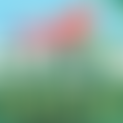 Thank Your Favorite School Psychologist This Week #NSPW