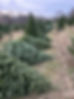 A5841F94-D22A-47BD-863B-A0ECEA590FBE.jpeg