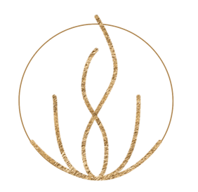 Safe & Visible_edited.png