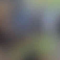 Schüler bearbeiten gemeinsam Aufgabe