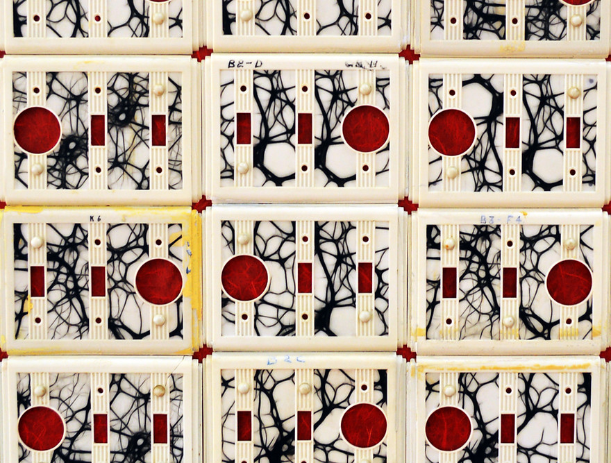 Martin Network_edited_edited.jpg