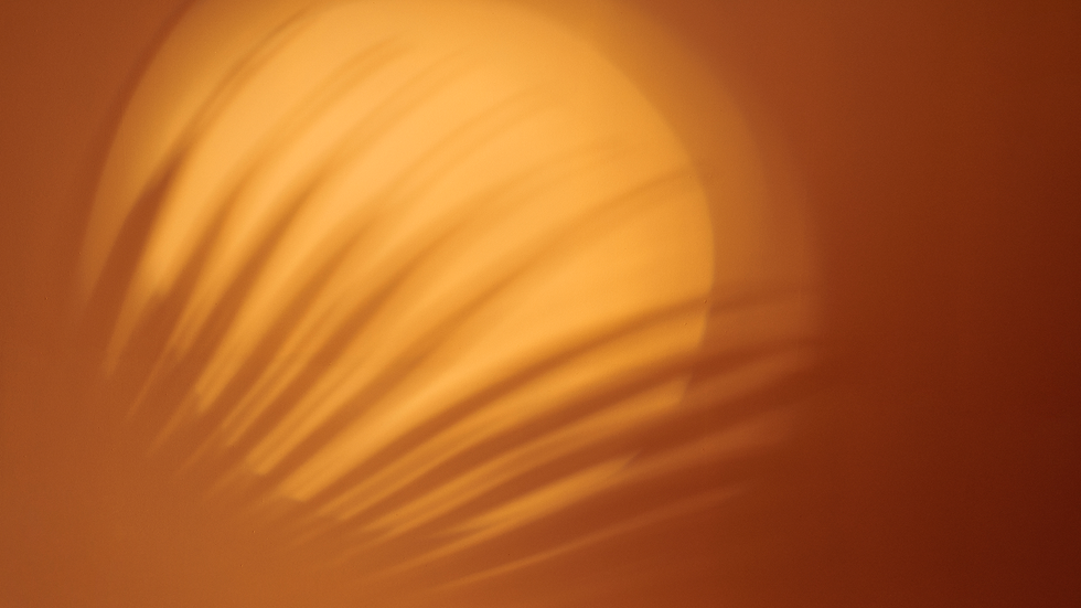 fundo.png