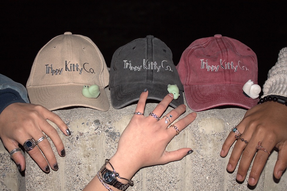 Distressed Dad Hats