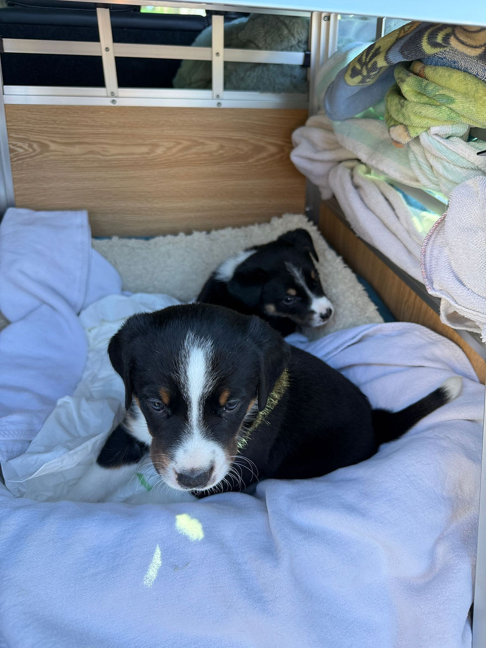 Erste Autofahrt - was für ein Erlebnis