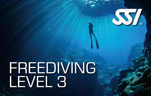 Anemone SSI Freediving Level 3